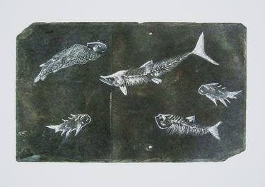 Print of Nature Drawings by Mary Waltham