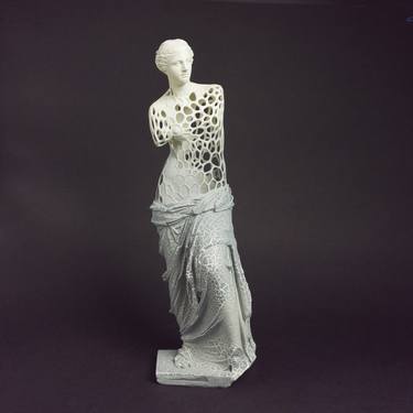 Contemporary Venus in Grey and White thumb