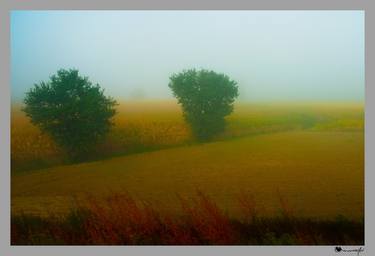 A field in the mist - Limited Edition 01 of 30 thumb