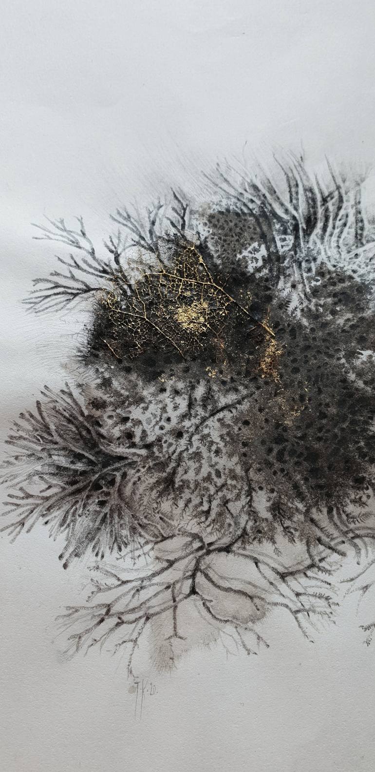 Original Other Nature Drawing by Tamar Kasparian