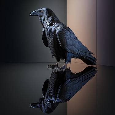 Saatchi Art Artist Michele De Matthaeis; Printmaking, “ravens series” #art