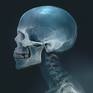 view additional image 1