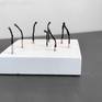 Vortex of Matches
evolution
---
Vortice di fiammiferi