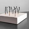 Vortex of Matches
evolution
---
Vortice di fiammiferi