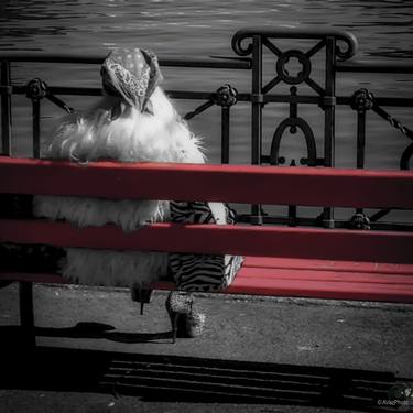 Woman on the bench thumb