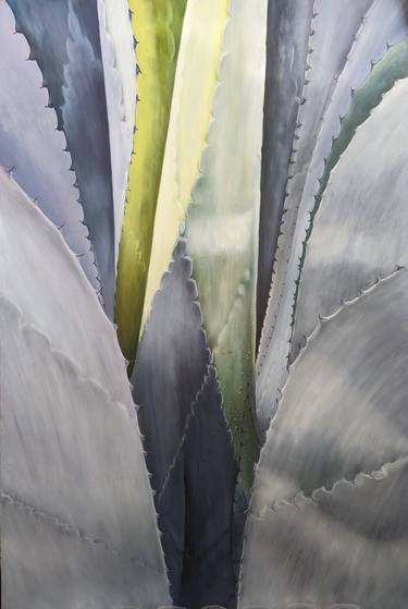 Summer Agave Series, Opening thumb