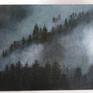 Foggy pine forest in the morning

-  Acrylic on canvas board
- 10" x 14"
-  Vanished