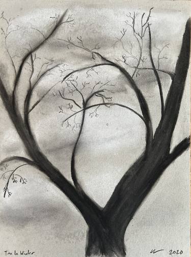 Original Tree Drawings by Christy Walsh