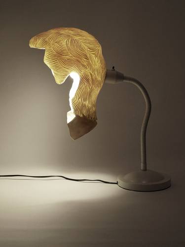 The User - Lamp thumb