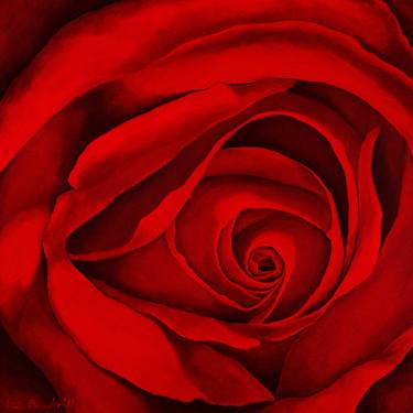 Secrets ( Red rose) thumb