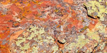 Natures Abstract - Lichens thumb