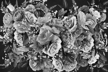 Print of Photorealism Floral Photography by Sue Skellern