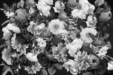 Evening Walk Black & White thumb