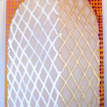 Shield Net by Aschely Cone