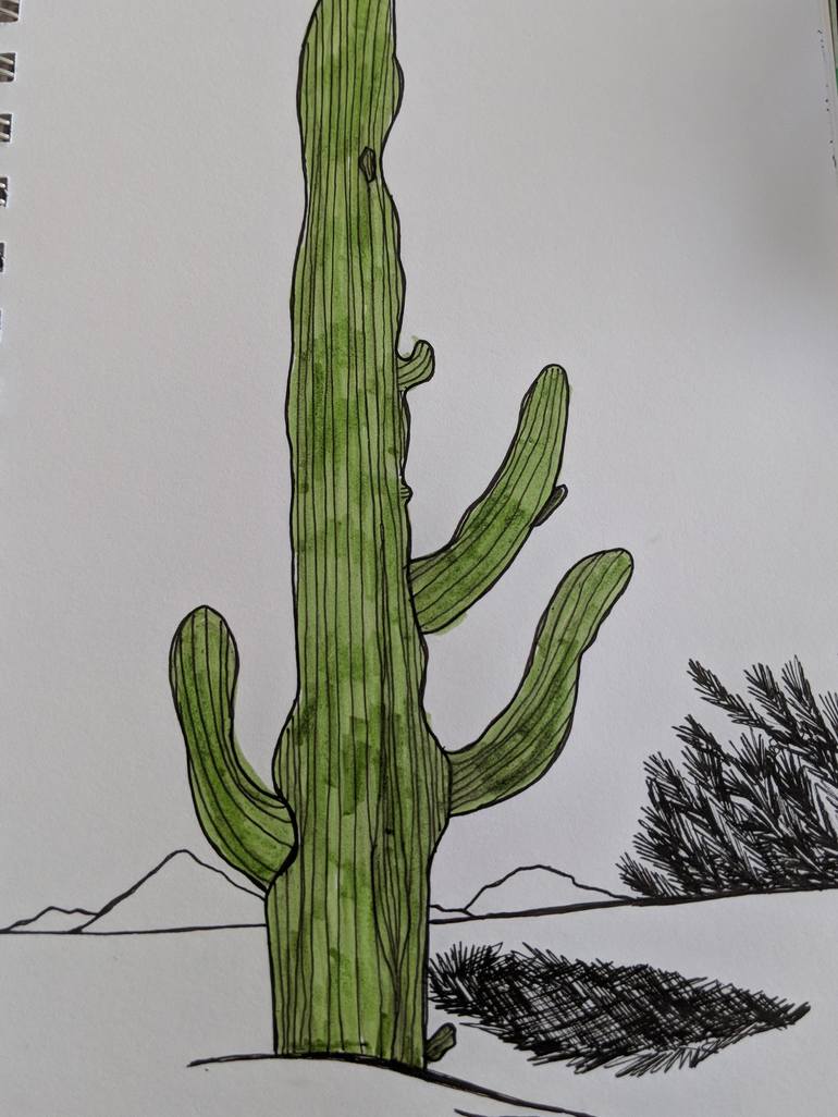 pencil drawing cactus