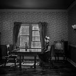 Collection APARTMENT 12A