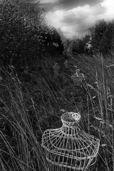 Print of Surrealism Still Life Photography by Peter Huckerby