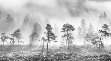 Morning mist - Limited Edition 1 of 5 thumb