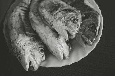 Print of Realism Fish Printmaking by Bea Kiss