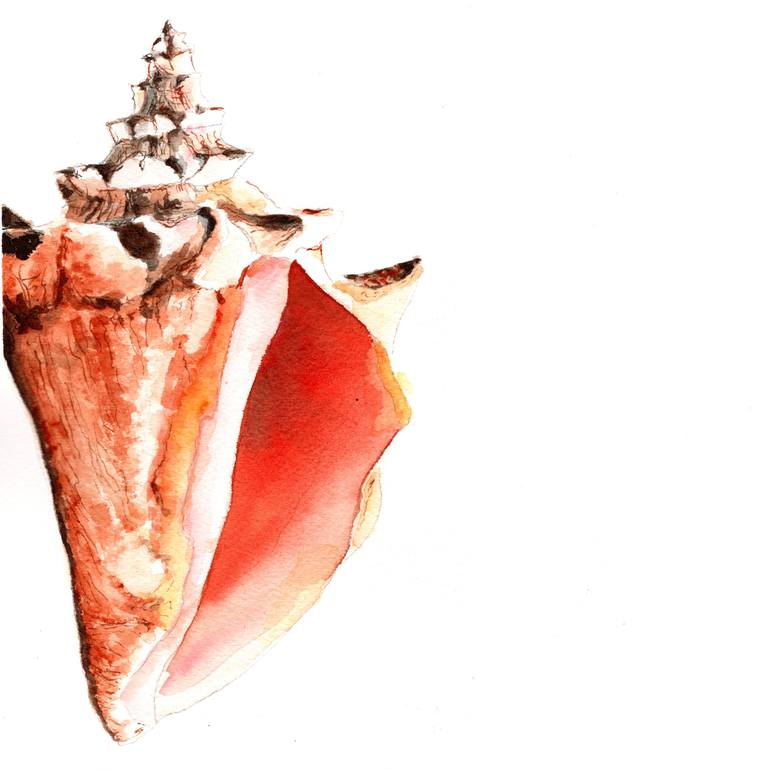 conch shell paintings