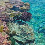 Coral Apocalypse #1 by Mark Cross