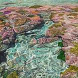 Coral Apocalypse #2 by Mark Cross
