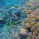 Coral Apocalypse #4 by Mark Cross