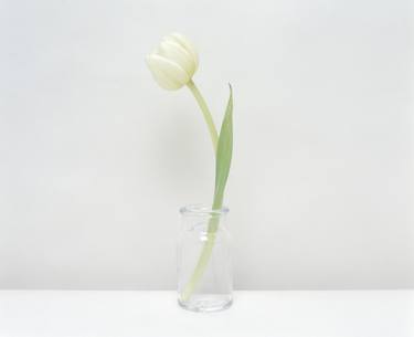 White Tulip - Limited Edition 1 of 8 thumb