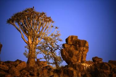 Original Documentary Nature Photography by Anthony Georgieff