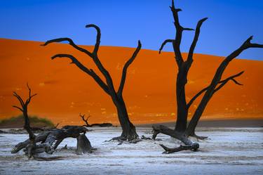 Print of Documentary Nature Photography by Anthony Georgieff