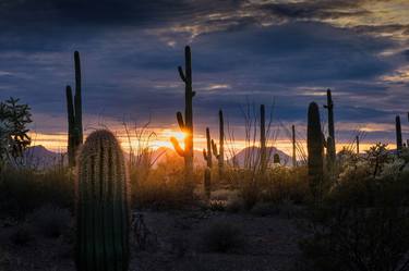 Print of Documentary Landscape Photography by Anthony Georgieff