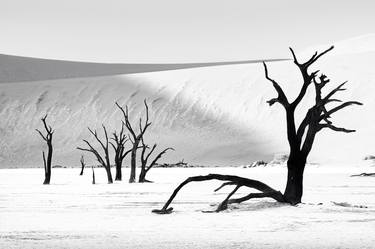 Deadvlei No. 4 thumb