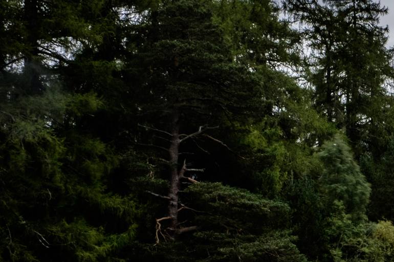 Original Other Landscape Photography by Anthony Georgieff