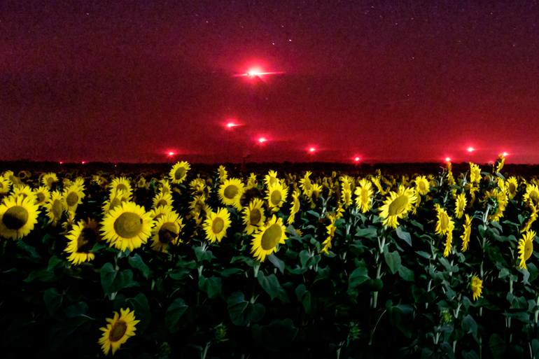 Original Other Landscape Photography by Anthony Georgieff