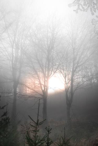 Print of Documentary Landscape Photography by Anthony Georgieff