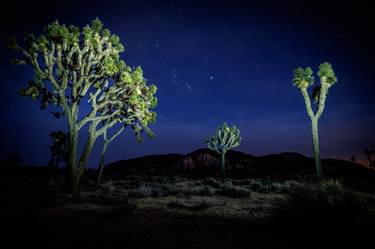 Original Documentary Landscape Photography by Anthony Georgieff