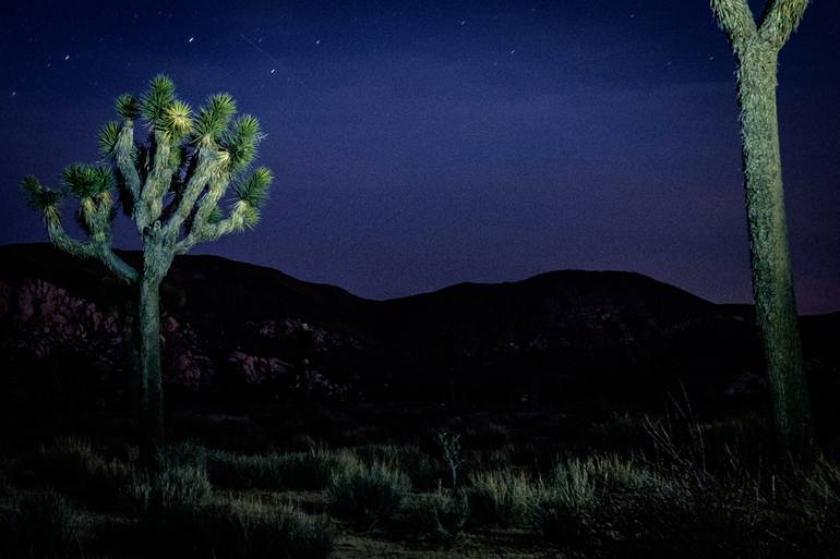 Original Documentary Landscape Photography by Anthony Georgieff