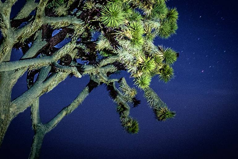 Original Documentary Landscape Photography by Anthony Georgieff