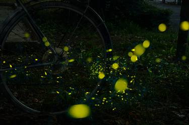 Dance of the Fireflies No. 7 - Limited Edition 1 of 5 thumb