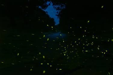 Dance of the Fireflies No. 21 - Limited Edition of 5 thumb
