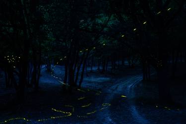 Dance of the Fireflies No. 23 - Limited Edition of 5 thumb