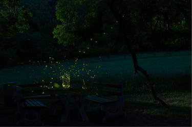 Dance of the Fireflies No. 46 - Limited Edition of 5 thumb
