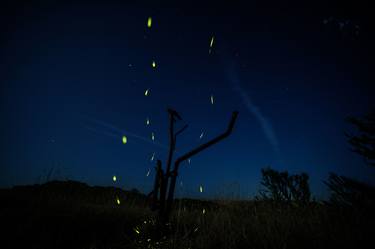 Print of Nature Photography by Anthony Georgieff