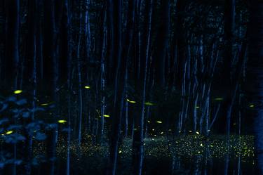 Dance of the Fireflies No. 59 - Limited Edition of 5 thumb