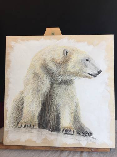 realistic polar bear drawing