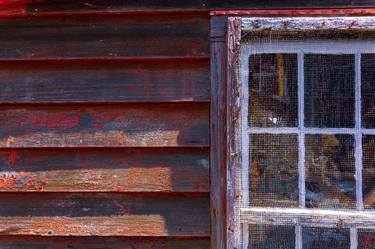 Print of Wall Photography by David Stone