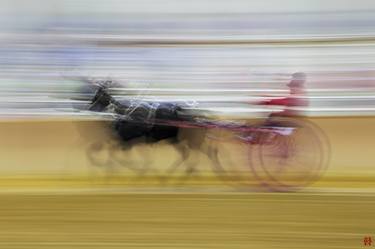 Print of Abstract Horse Photography by David Stone