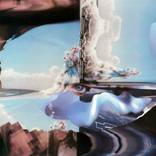 Collection Xerox Paradox