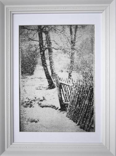 Botanic garden. Winter. - Limited Edition 1 of 5 thumb