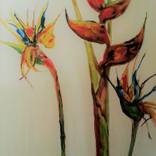 Collection Flowers